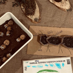 YER ALTINDA YAŞAYAN CANLILAR🐜