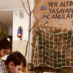 YER ALTINDA YAŞAYAN CANLILAR🐜