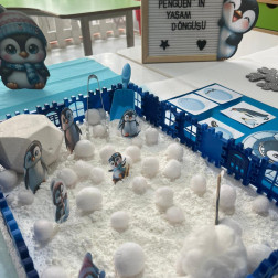 Penguenin Yaşam Döngüsü Keşif Alanı