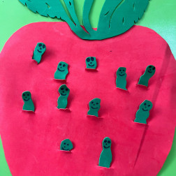 Elma İçindeki Canlılar Fen Çalışması