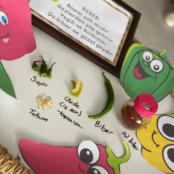 🌶️ Minik Kaşifler İş Başında: Biberin Yolculuğunu Öğreniyoruz!