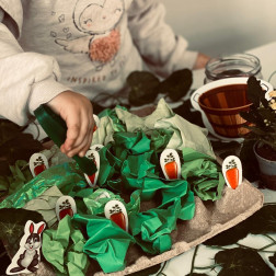 🥕 Küçük Bahçıvanlar İş Başında: Topraksız Tarım ve İnce Motor Becerileri!