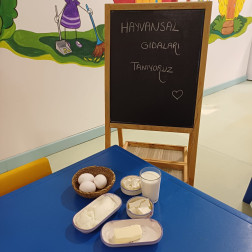 SAĞLIĞIMIZ İÇİN GEREKLİ YİYECEKLERİ ÖĞRENDİK