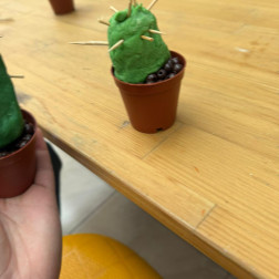 🌵 Minik Eller, Dev Eserler: Bugün Sınıfımızda Kaktüs Ormanı Kurduk!