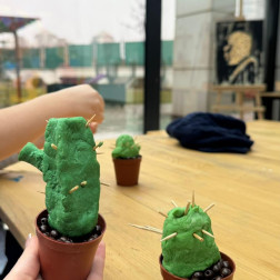🌵 Minik Eller, Dev Eserler: Bugün Sınıfımızda Kaktüs Ormanı Kurduk!