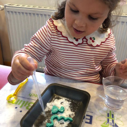 HANGİ HAYVANLAR KIŞ UYKUSUNA YATAR VE NEDEN?