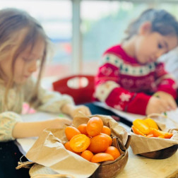 AYIN MEYVESİ 'KAMKAT' 🍊