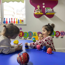 Renkleri ve Sayıları Keşfediyoruz