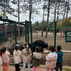 Hayvanat Bahçesi Gezisi ile Keşfediyoruz