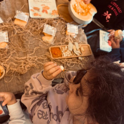 Balkabağını Tanıyoruz ve İnceliyoruz