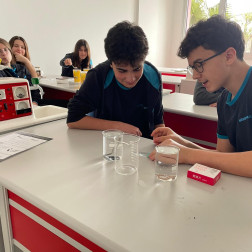 Adezyon ve Kohezyon: Deneylerle Öğrendik !