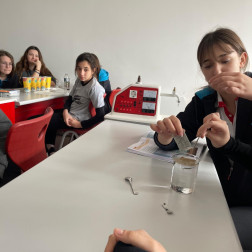 Adezyon ve Kohezyon: Deneylerle Öğrendik !