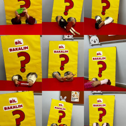 Bil Bakalım Eğlenceli Tahmin Oyunu