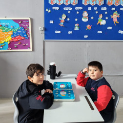 Akıl ve Zekâ Oyunları