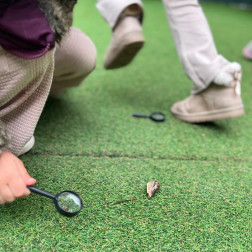 🌿 Bahçe Keşfi: Minik Canlılar 🐌