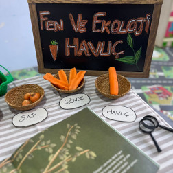 🥕 Fen ve Ekoloji Atölyesi 🌱