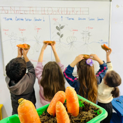🥕 Fen ve Ekoloji Atölyesi 🌱