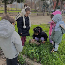 Kış Güneşinde Bahçemizin Neşesi