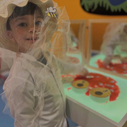 Bal Gibi Bir Gün: Arıların Dünyasına Yolculuk