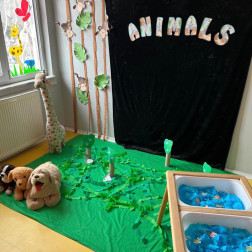 🐾 Minik Kaşifler Hayvanlar Aleminde! 🐾