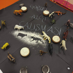 Bakmak ile Görmek Arasındaki İnce Çizgi: Gölge Eşleştirme 🔍