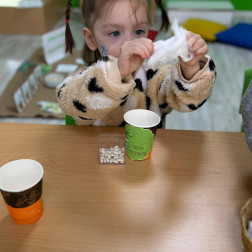 Fasulyenin Yaşam Öyküsü 🌱