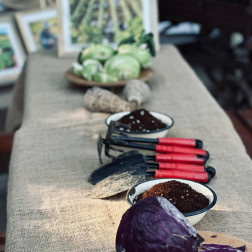 Doğa ve Tarım Temalı Keşif Etkinliğimiz