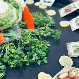 Sebze ve Bitki Tanıma Atölyesi