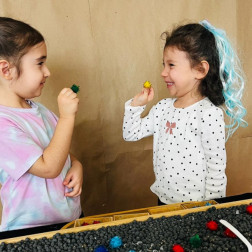 AKTARMA ETKİNLİĞİ