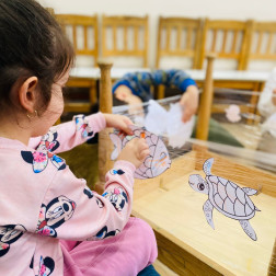 Sanatla Mimariyi Keşfediyoruz