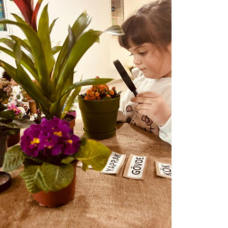 ÇİÇEKLERİN DÜNYASI 🌺