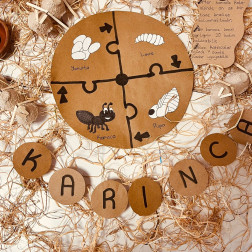 🐜 Küçük Adımlar, Büyük Keşifler: Karınca Dünyasına Yolculuk!