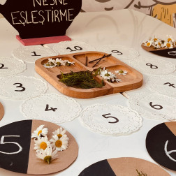 Bir Demlik Bilgi, Bir Tutam Papatya: Sayıları Keşfediyoruz