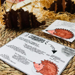 Minik Ellerden Büyük Adımlar: Kirpi Dostlarımızı Tanıyoruz!