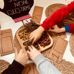 Sayılar Doğayla Buluşuyor: Dokun, Say ve Eşleştir!