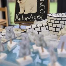GEMS Eğitim Modeli ile Eğlenerek Öğreniyoruz: Kutup Ayısı Projesi