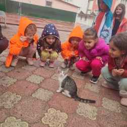 Doğayı Gözlemliyoruz