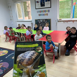 Canlıları Tanıyoruz