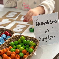 Küçük Adımlar, Büyük Keşifler: Sayılarla Tanışıyoruz!