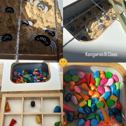 Küçük Eller İş Başında: Kangaroo B Sınıfı Keşifte!