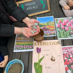 Küçük Eller, Büyük Keşifler: Ekoloji Atölyemizde Bahar Hazırlığı!