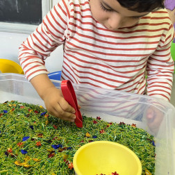 Renkleri Keşfediyoruz!