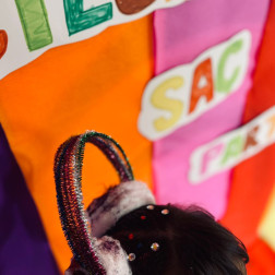 ÇILGIN SAÇ PARTİSİ