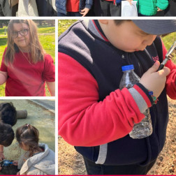 🌿 DENEYİMLE ÖĞREN DE BU HAFTA: ORMAN 🌿