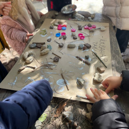 İlkbaharı Doğada Keşfettik 🌸