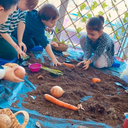 DOĞADAN SOFRAYA ETKİNLİĞİ🧅 🥬 🍆 🥕 🥔