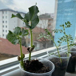 Küçük Eller, Büyük Mucizeler: Çocuklarımızla Doğa Sevgisini Büyütüyoruz