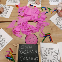 Suda Yaşayan Canlıları Tanıyoruz