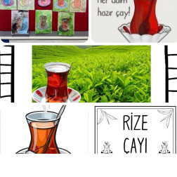 Minik Bilimciler: Suya Karışmayan Çay Deneyi