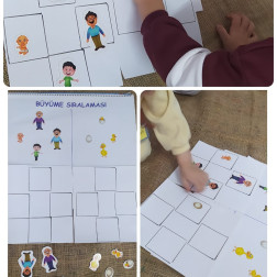 Büyüme Sıralaması